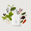 Creed Silver Mountain Water