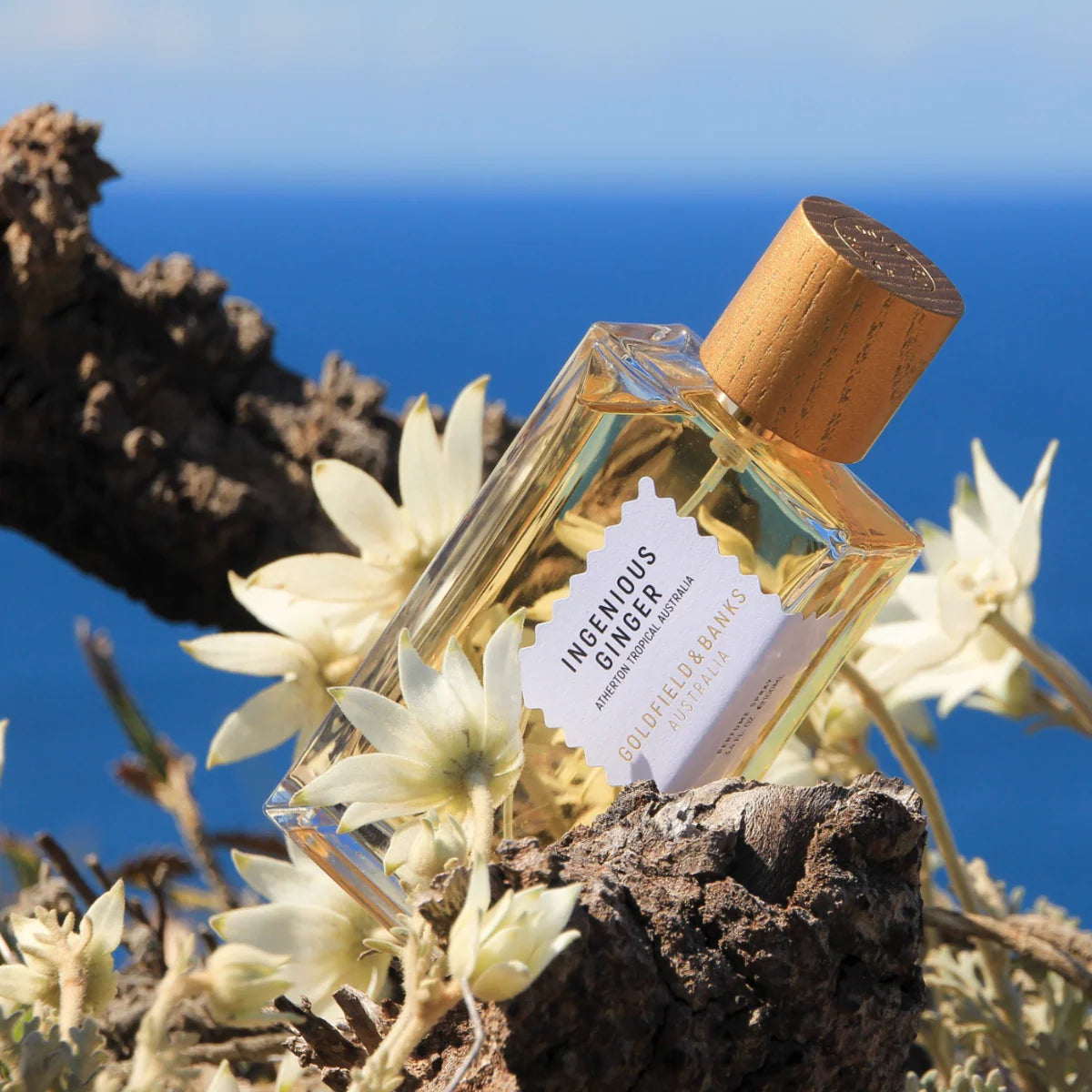 Goldfield & Banks ingenious ginger Moss Edp