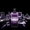 Valentino BIR Purple Melancholia Donna