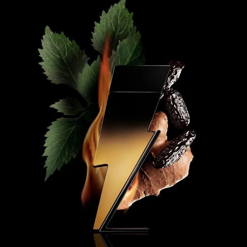 Carolina herrera Bad Boy Extreme