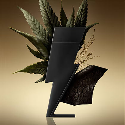 Ch Bad Boy Le Parfum