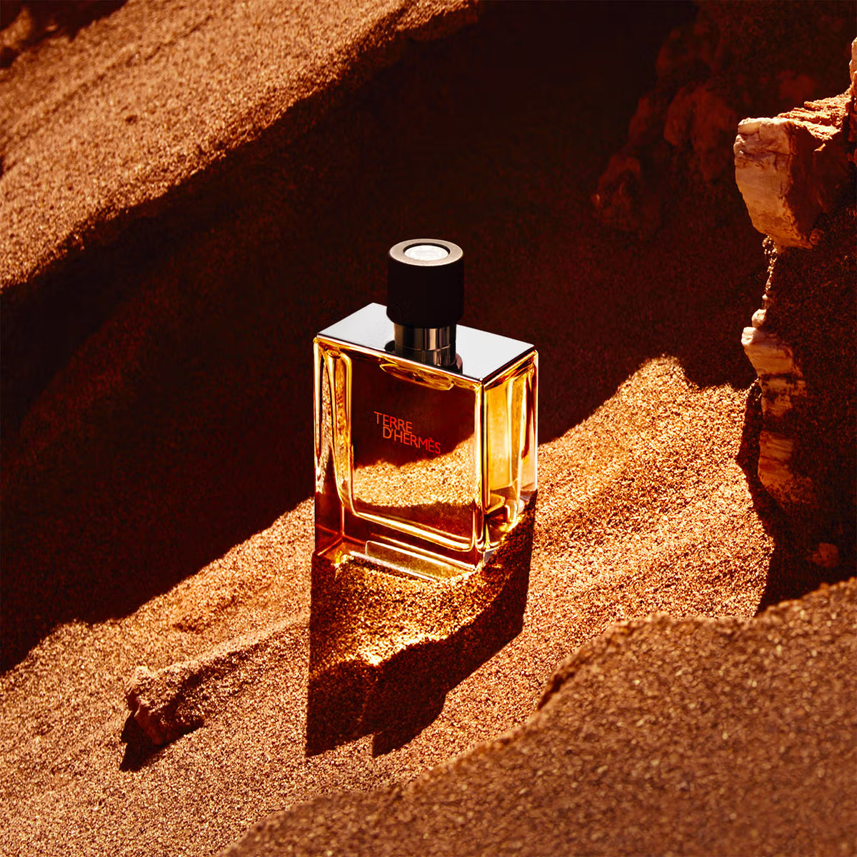 Hermes Terre D’Hermes Parfum